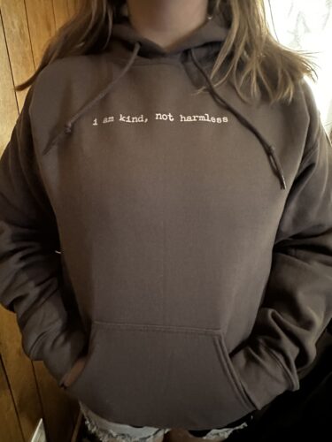 i am kind, not harmless - Unisex Heavy Blend™ Hooded Sweatshirt - Dark Colors photo review