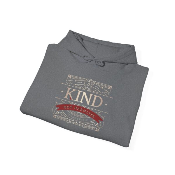 I Am Kind, Not Harmless - Classic Luxe Edition Hoodie - Image 18