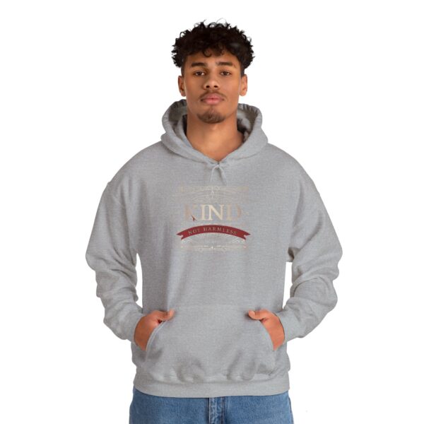 I Am Kind, Not Harmless - Classic Luxe Edition Hoodie - Image 9