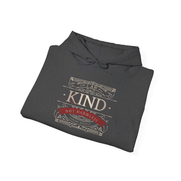 I Am Kind, Not Harmless - Classic Luxe Edition Hoodie - Image 22